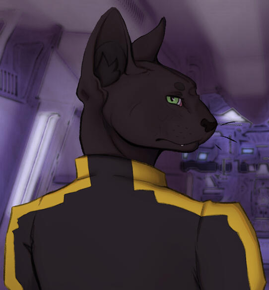 Shaded (With Background)