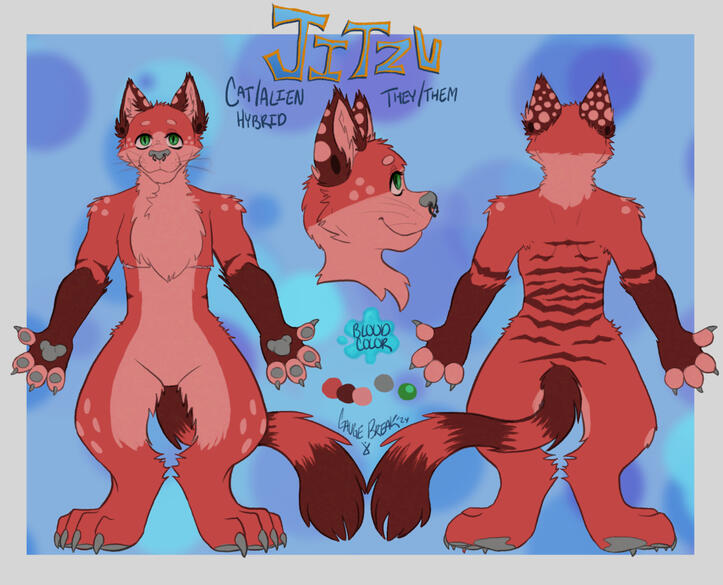 $60 (Front+Back+Headshot)